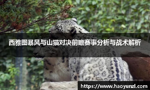 西雅图暴风与山猫对决前瞻赛事分析与战术解析